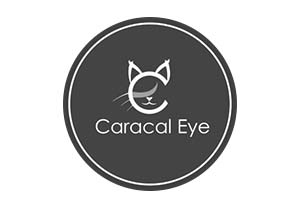 Caracle eye logo gray